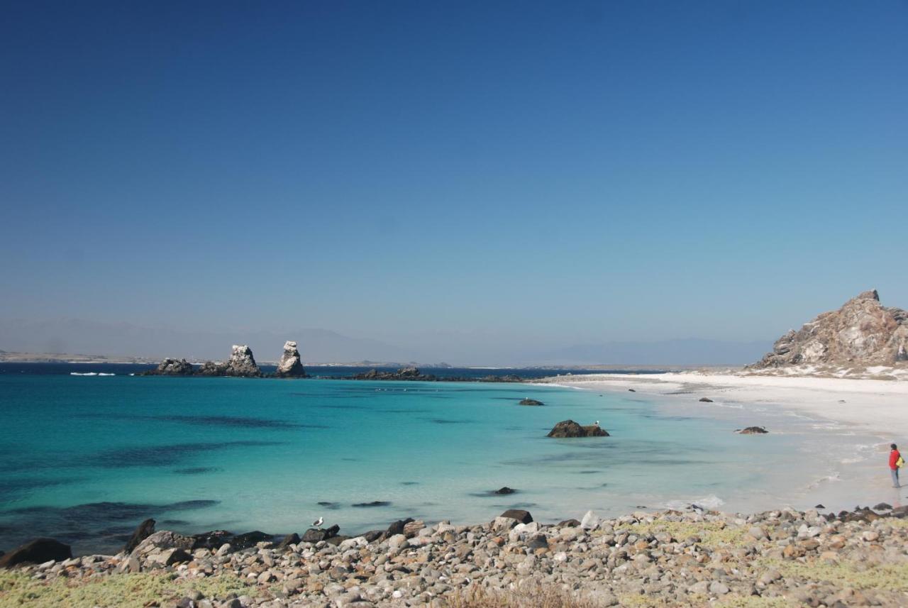 Cabanas Las Hualas Punta de Choros Ngoại thất bức ảnh
